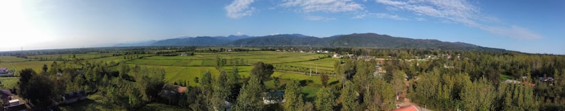 A panoramic view of a spacious lot surrounded by greenery under a clear blue sky