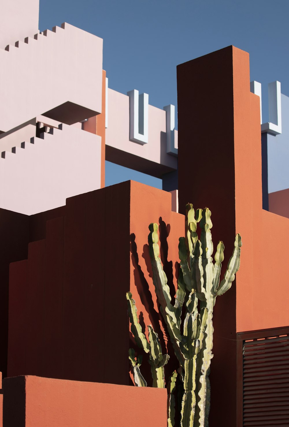 a cactus in front of a building with a sky background
