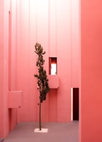 A minimalistic architecture scene with tall, pink walls and a single sparse tree in a paved courtyard area. The geometric design features narrow vertical panels with a couple of small windows that allow soft natural light to enter, highlighting the contrast between the smooth surfaces and the organic form of the tree.