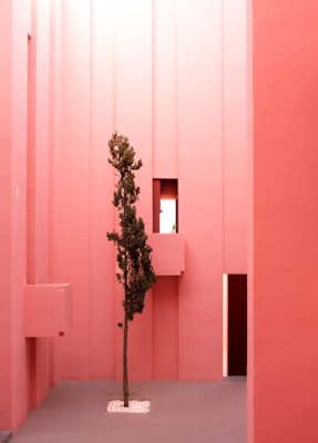 A minimalistic architecture scene with tall, pink walls and a single sparse tree in a paved courtyard area. The geometric design features narrow vertical panels with a couple of small windows that allow soft natural light to enter, highlighting the contrast between the smooth surfaces and the organic form of the tree.