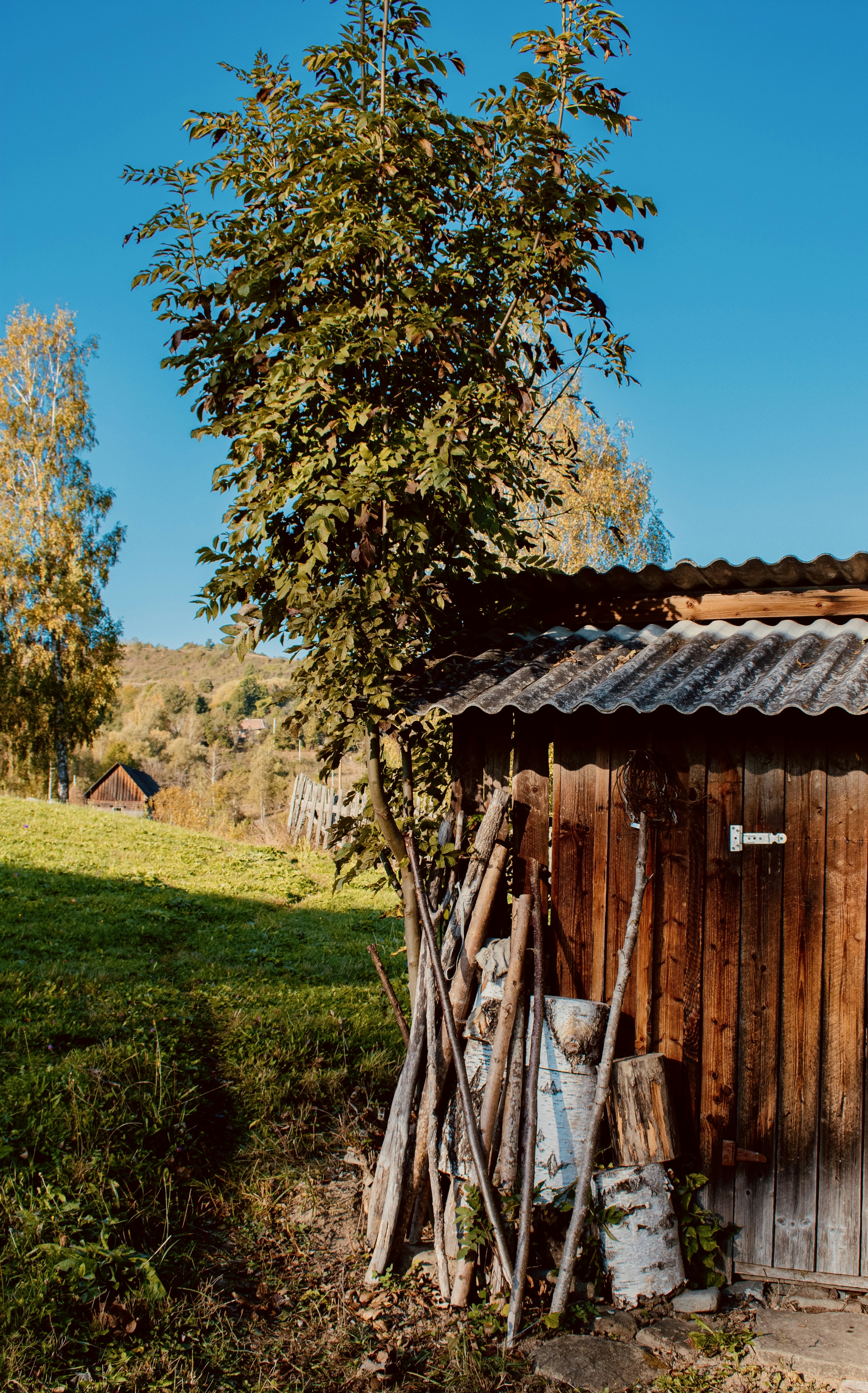 Photo by raluca_cotoara