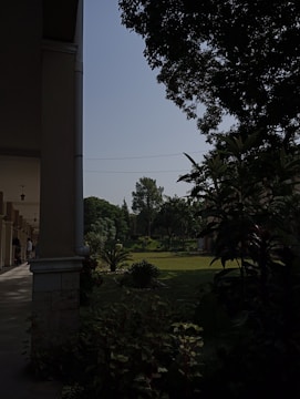 A well-maintained garden with lush green grass and various plants and trees. The image includes a building with a shaded corridor on the left side. Some people are seen walking in the corridor. It appears to be a bright day with a clear sky.