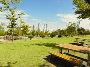 A high-tech outdoor WiFi setup in a park.