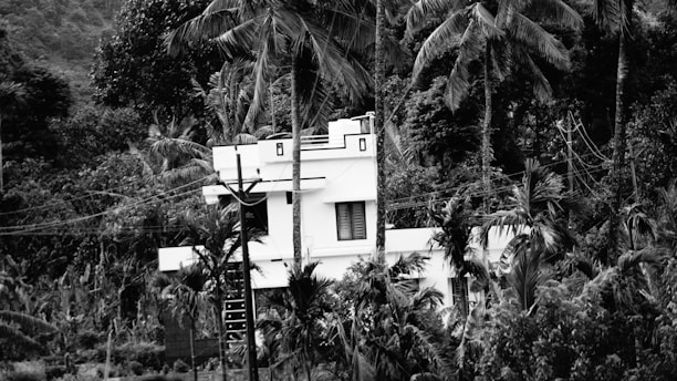 A modern white house surrounded by dense tropical vegetation, with tall palm trees and thick foliage creating a natural enclosure. The house has a flat roof and rectangular windows, and power lines are visible running through the area.