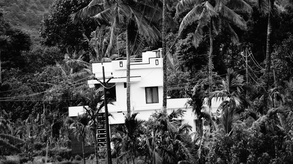 a black and white photo of a house surrounded by trees