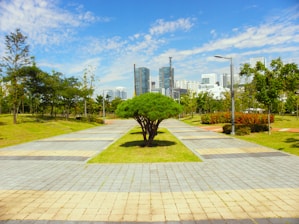 A well-maintained park with a paved pathway leading towards a modern city skyline. The path is flanked by green grass, trees, and bushes. A single small tree stands prominently in the center. Skyscrapers and tall buildings rise in the background under a clear blue sky with scattered clouds.