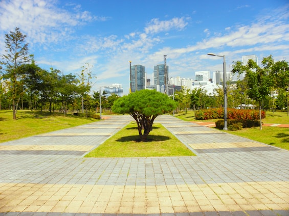 A well-maintained park with a paved pathway leading towards a modern city skyline. The path is flanked by green grass, trees, and bushes. A single small tree stands prominently in the center. Skyscrapers and tall buildings rise in the background under a clear blue sky with scattered clouds.