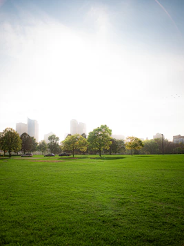 a grassy field with trees and buildings in the background