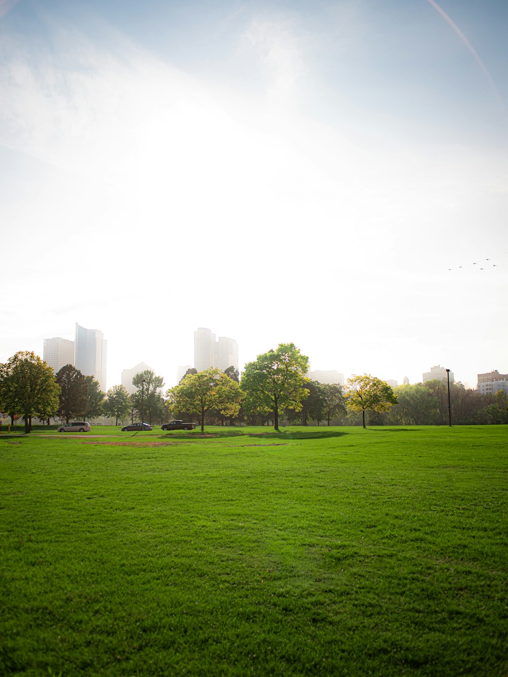 a grassy field with trees and buildings in the background