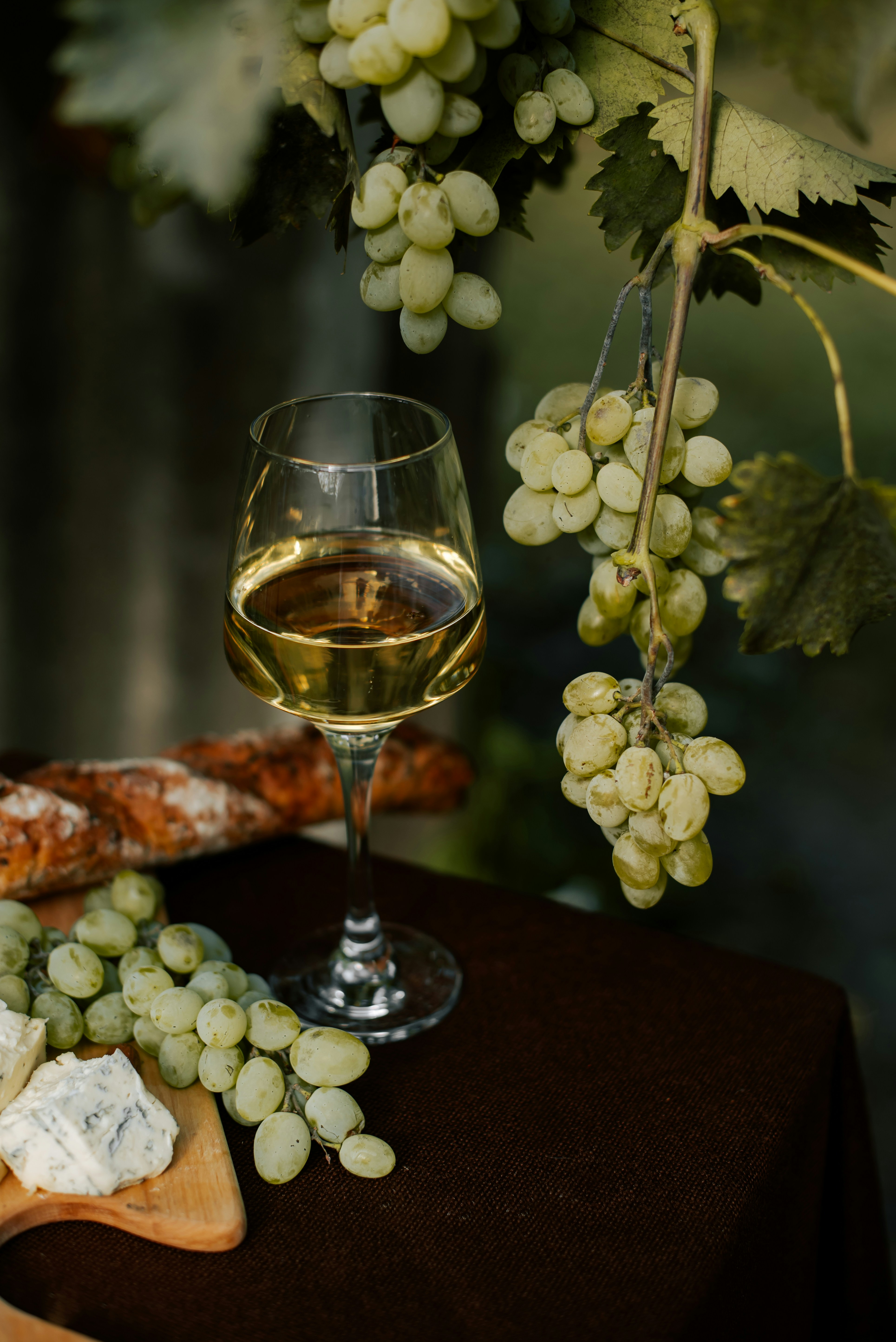 Vinhos Argentinos e Portugueses