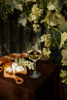 A glass of white wine is elegantly placed on a table with a dark tablecloth. Surrounding the glass are clusters of green grapes hanging from a vine above. On the table, there is a wooden board holding slices of soft cheese, a few almonds, orange slices, and a baguette. The scene is softly lit, conveying a rustic and serene atmosphere.