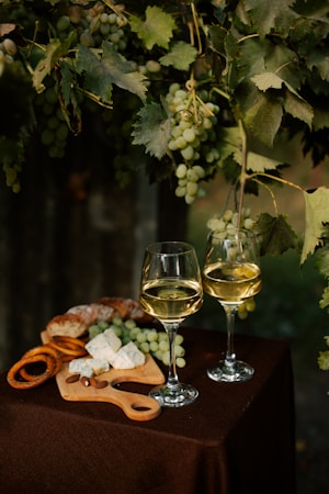 Descubriendo el Vino: Viajes y Gastronomía en catadevinos.pro