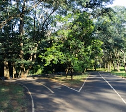 A calm path through a forest symbolizing the journey of personal transformation.