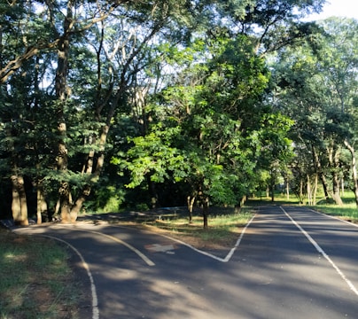 A person hesitating at a forked path in a forest, symbolizing tough choices.