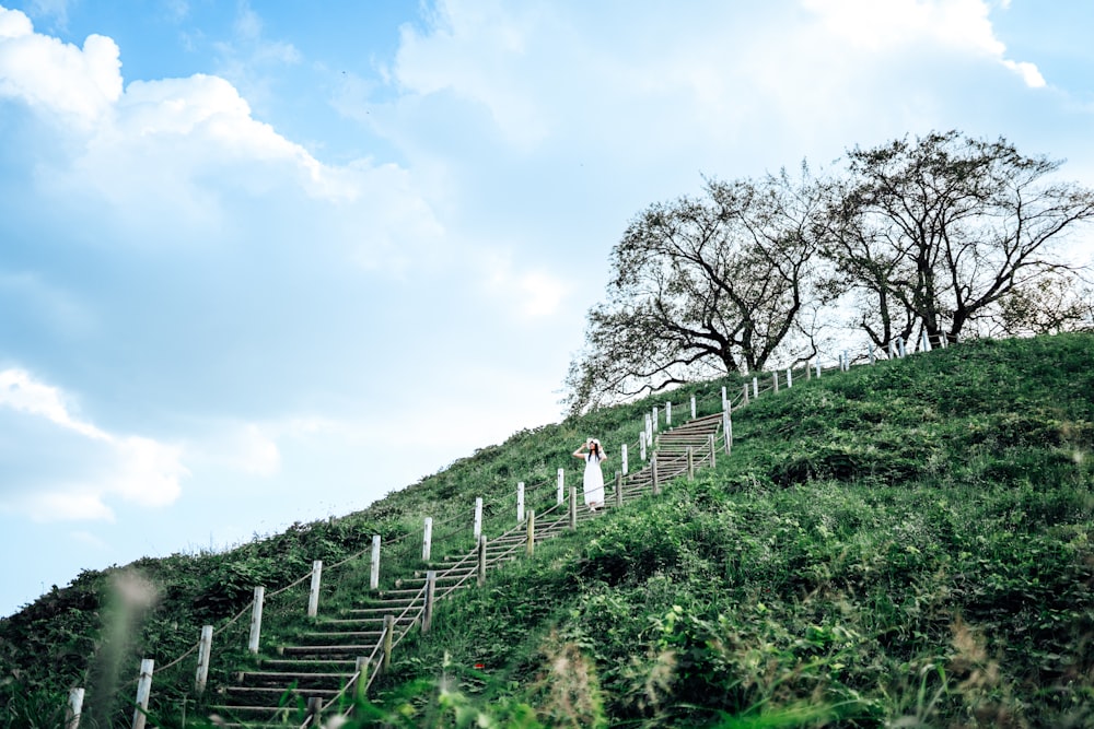 a person walking up a grassy hill with a tree in the background