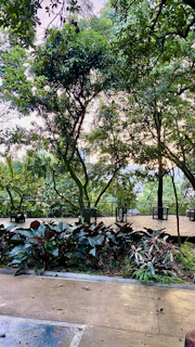 An outdoor wellness area basking in gentle sunlight surrounded by lush greenery