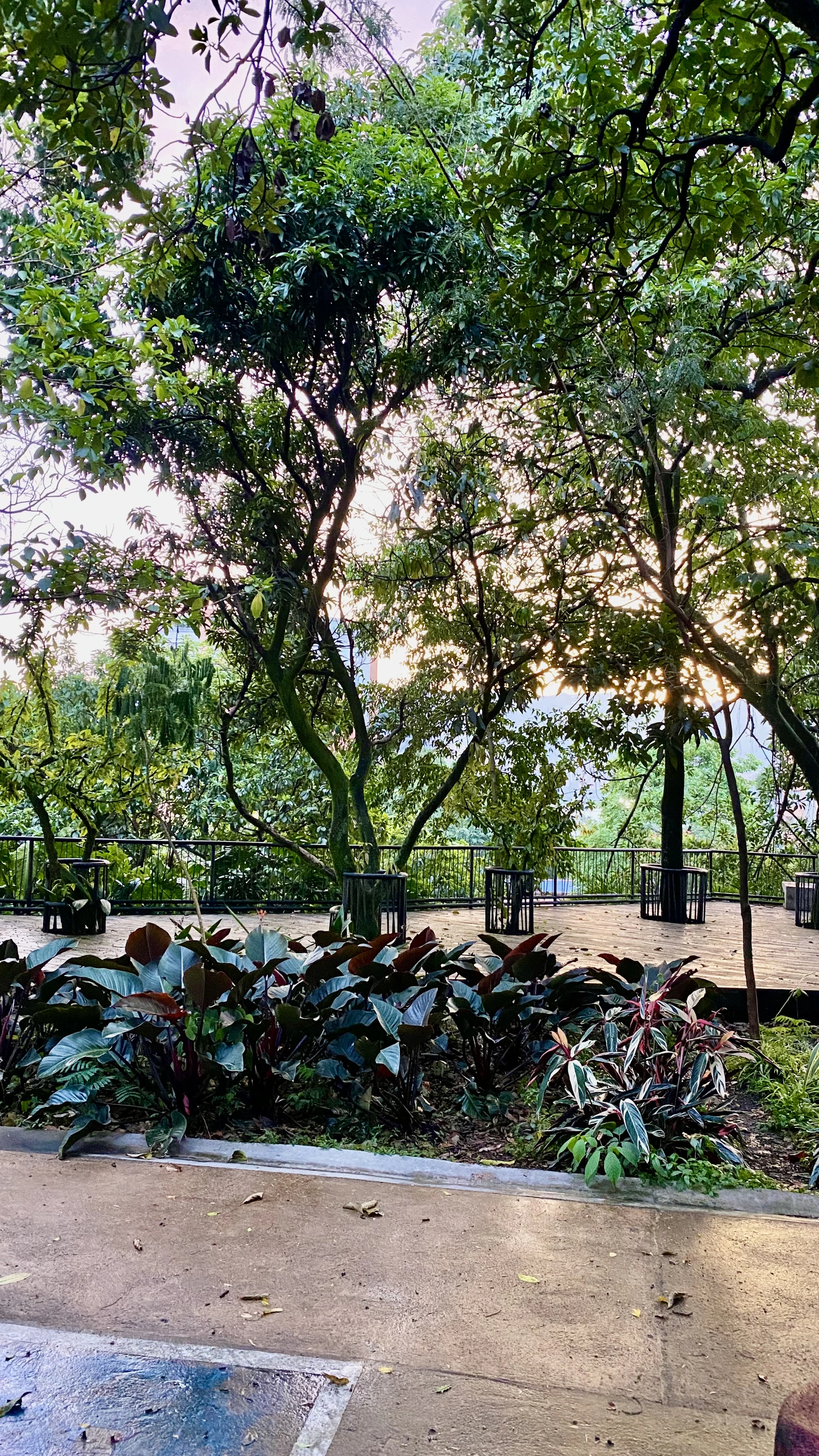 woman wearing yellow long-sleeved dress under white clouds and blue sky during daytime