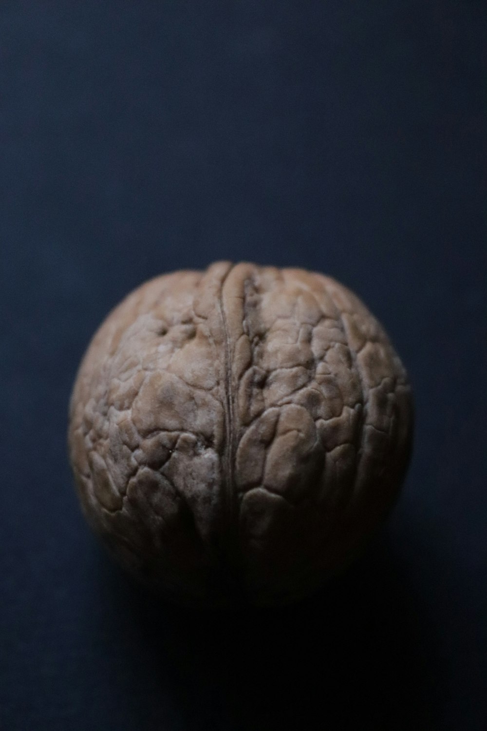 a close up of a walnut on a black surface