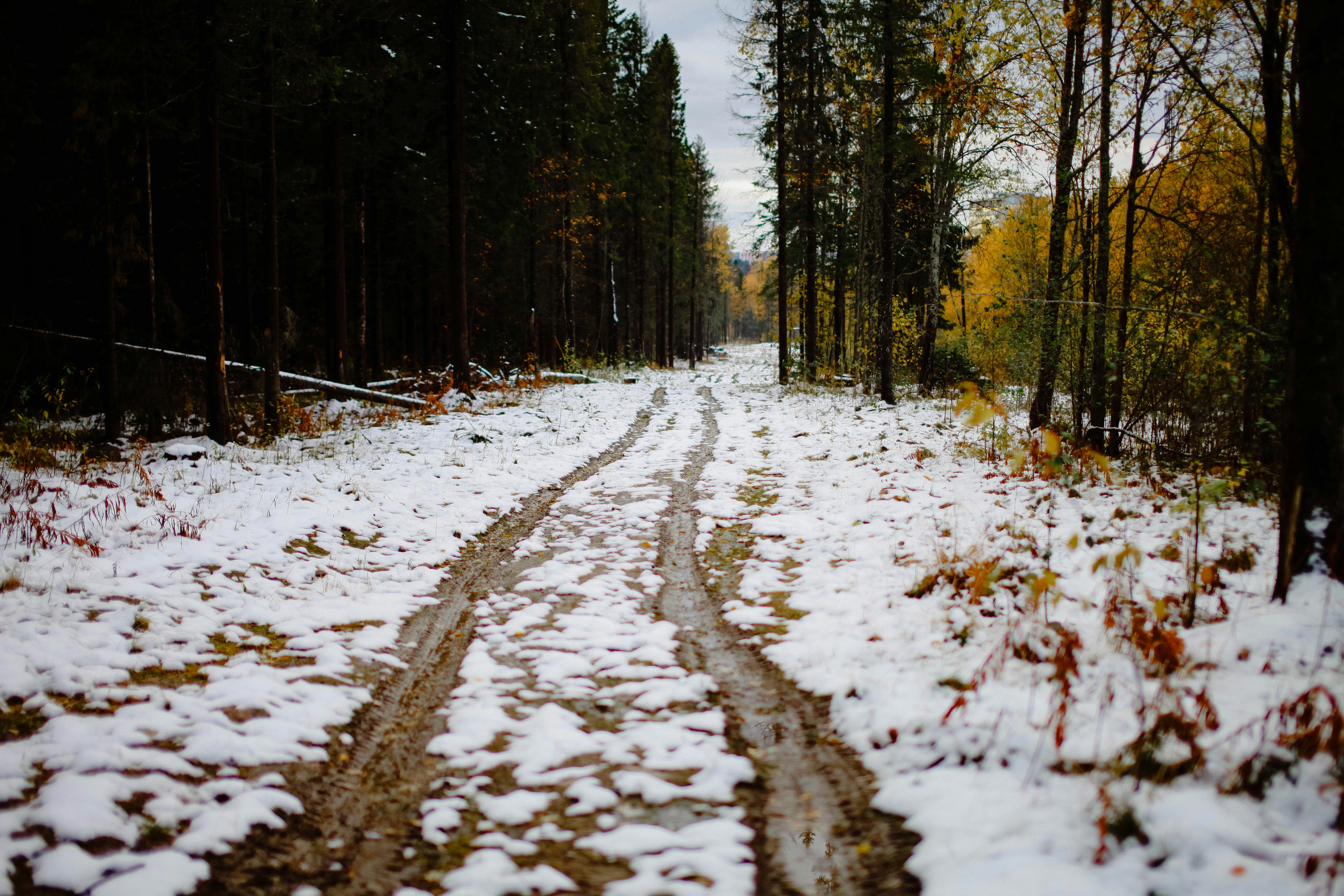 Photo by helgapettersen