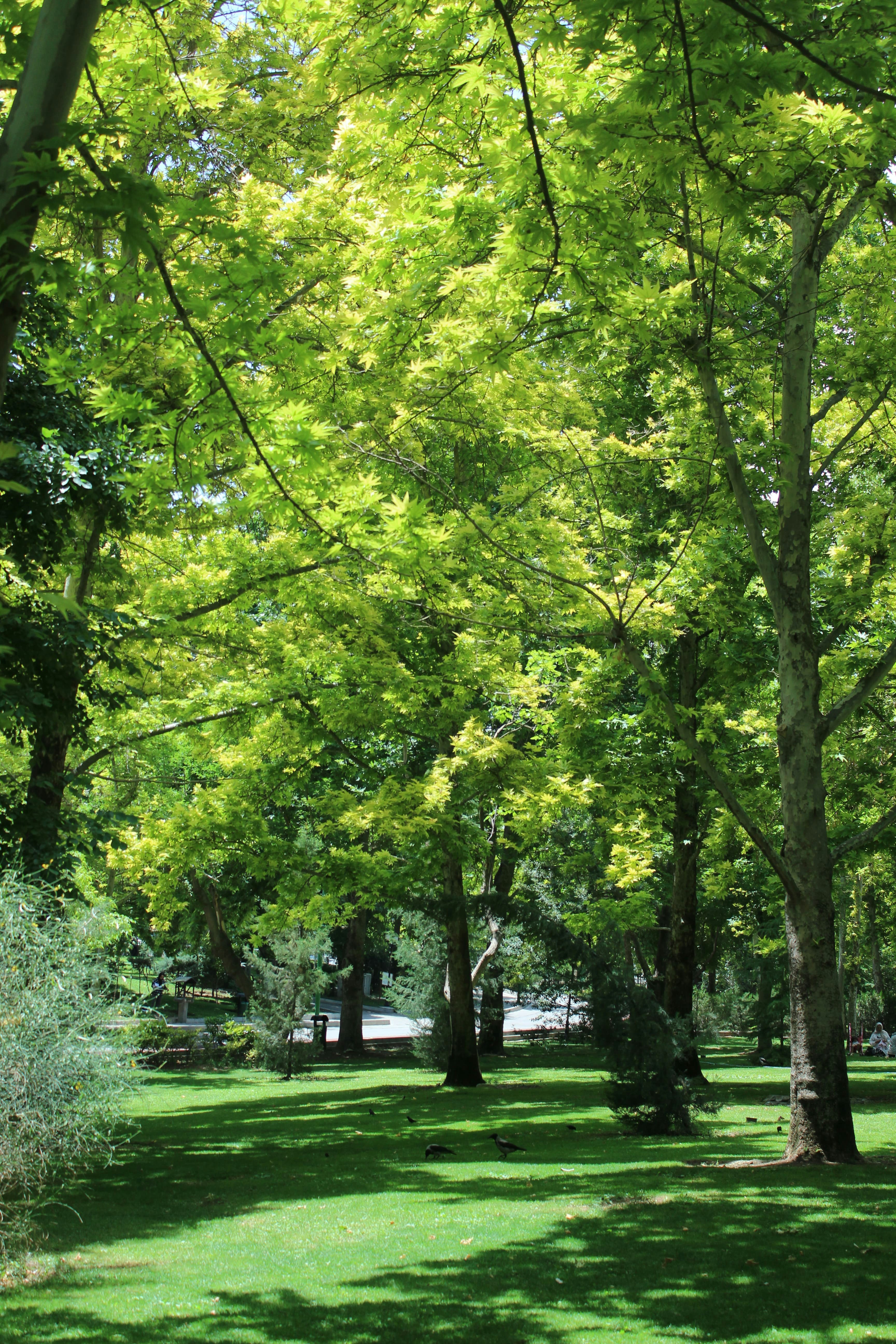 Photo by elham_frame