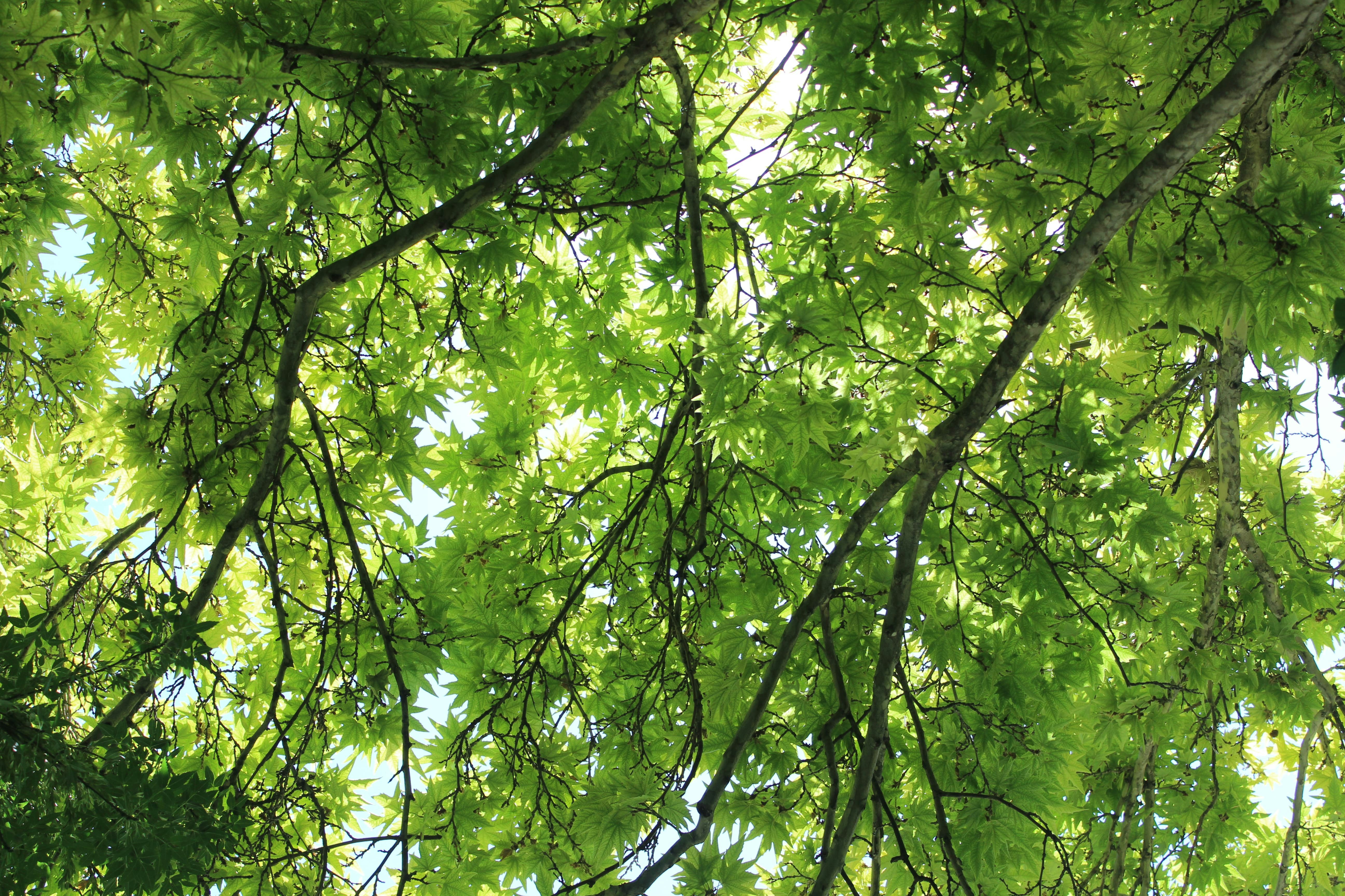 Photo by elham_frame