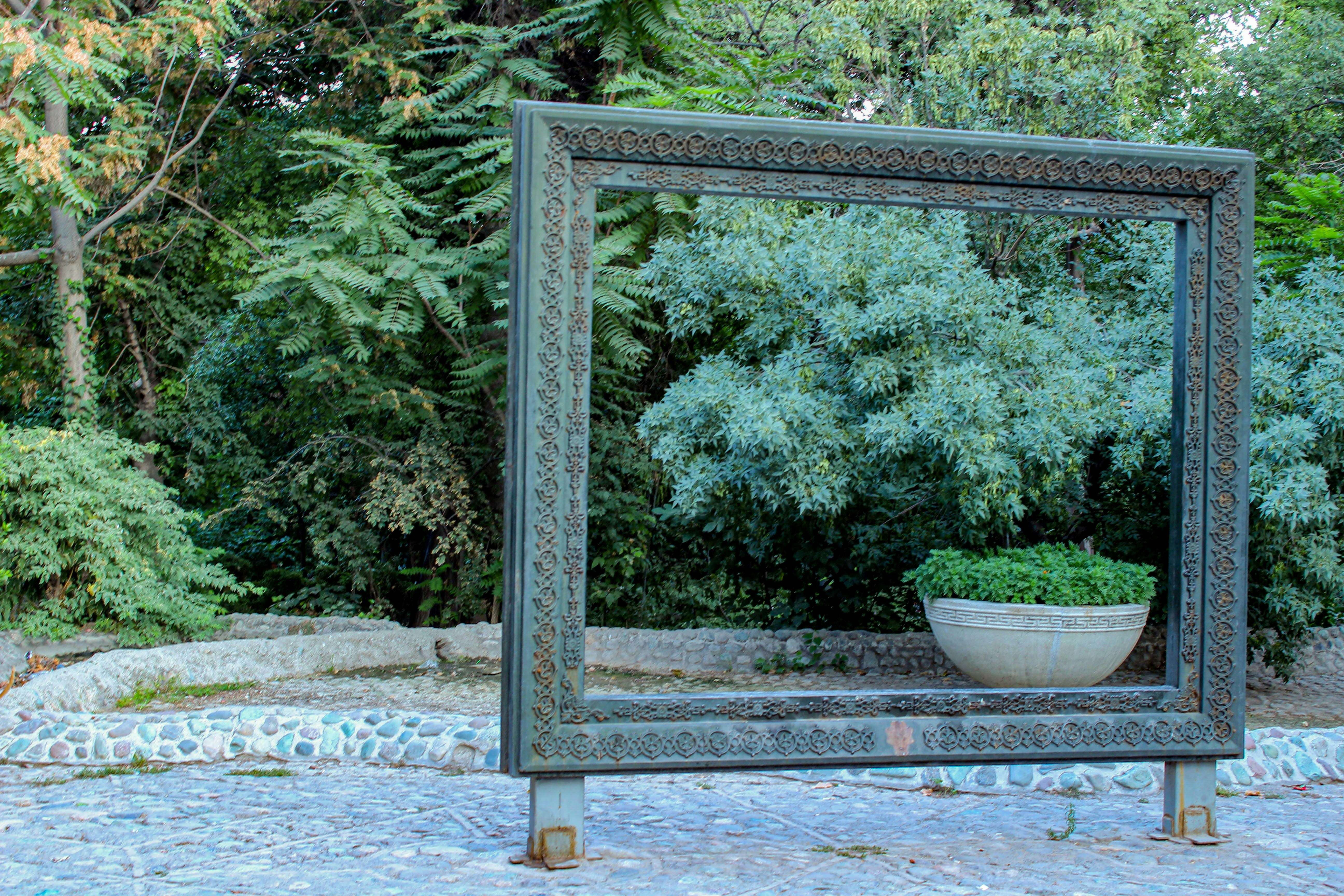 a mirror reflecting a potted plant in a garden