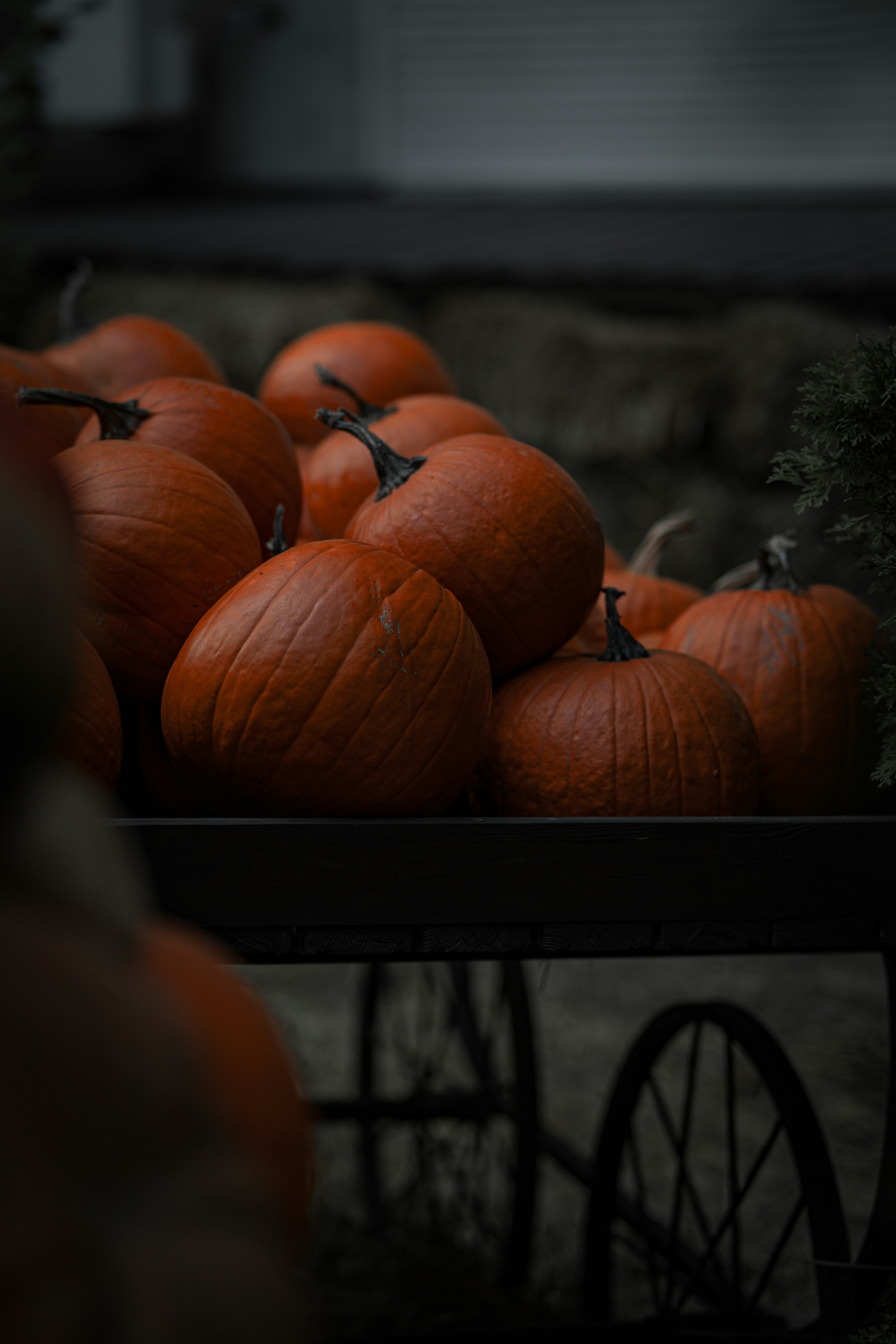 Photo by eugenechystiakov