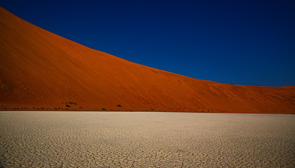 a lone tree in the middle of a desert