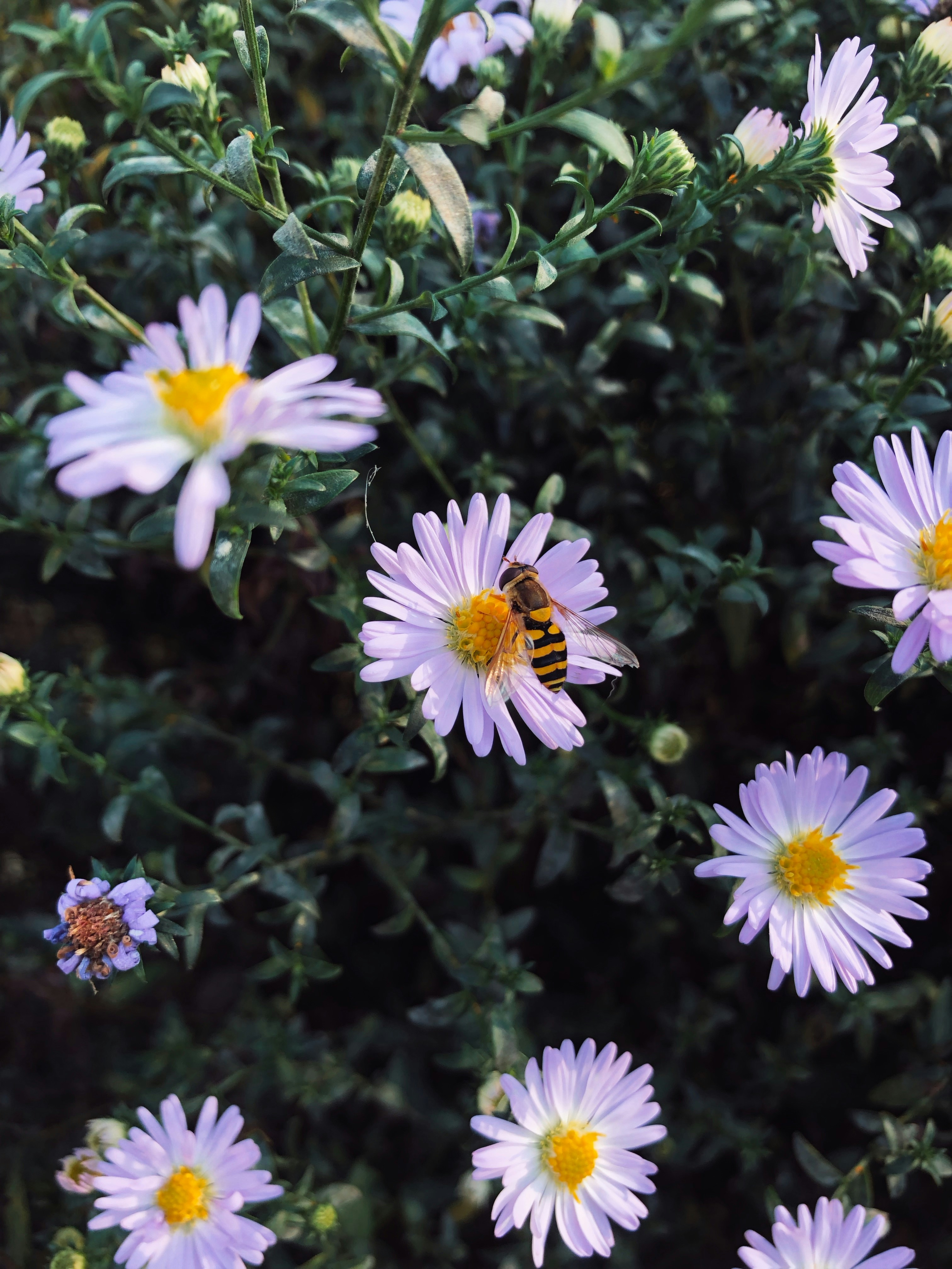 Photo by kolir_svitla