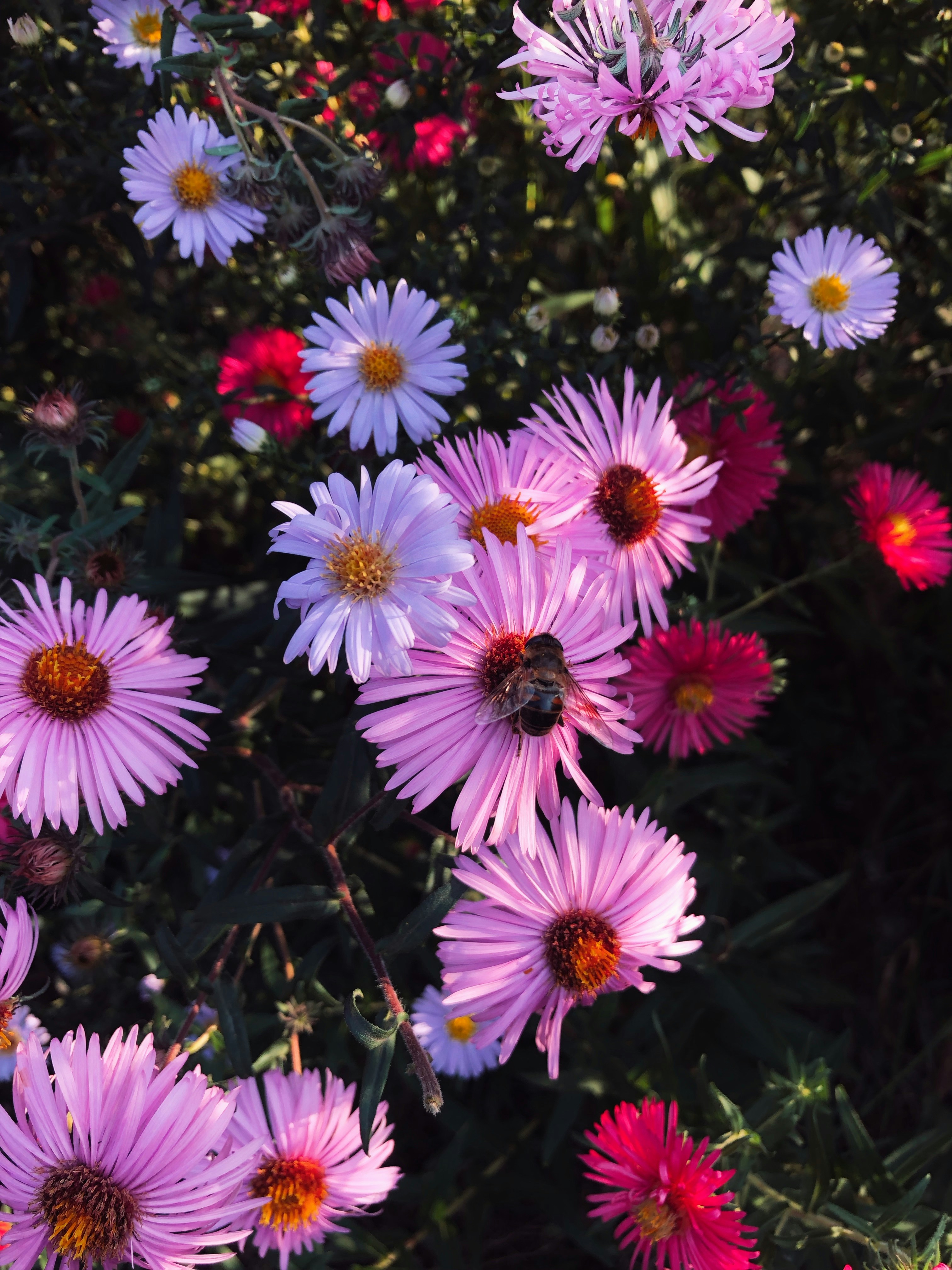 Photo by kolir_svitla