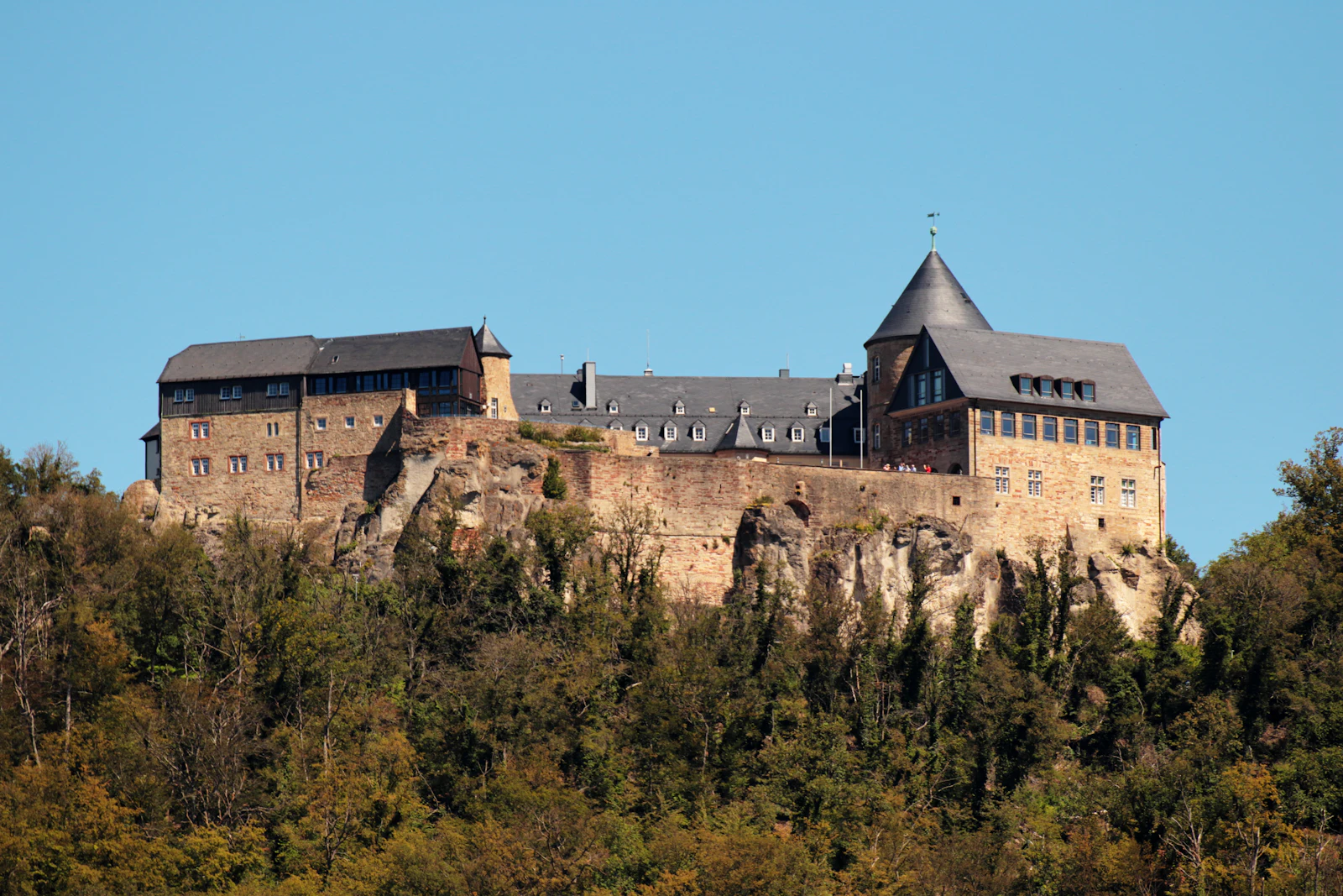 Ch&acirc;teau perch&eacute; entour&eacute; d'arbres en montagne (image d'illustration)