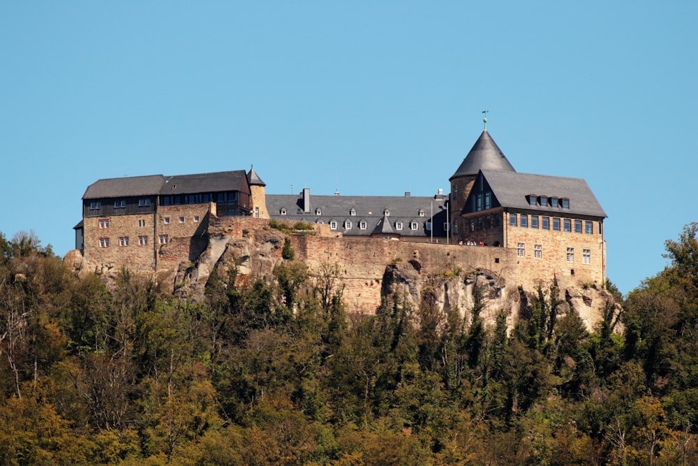 a castle on top of a hill surrounded by trees