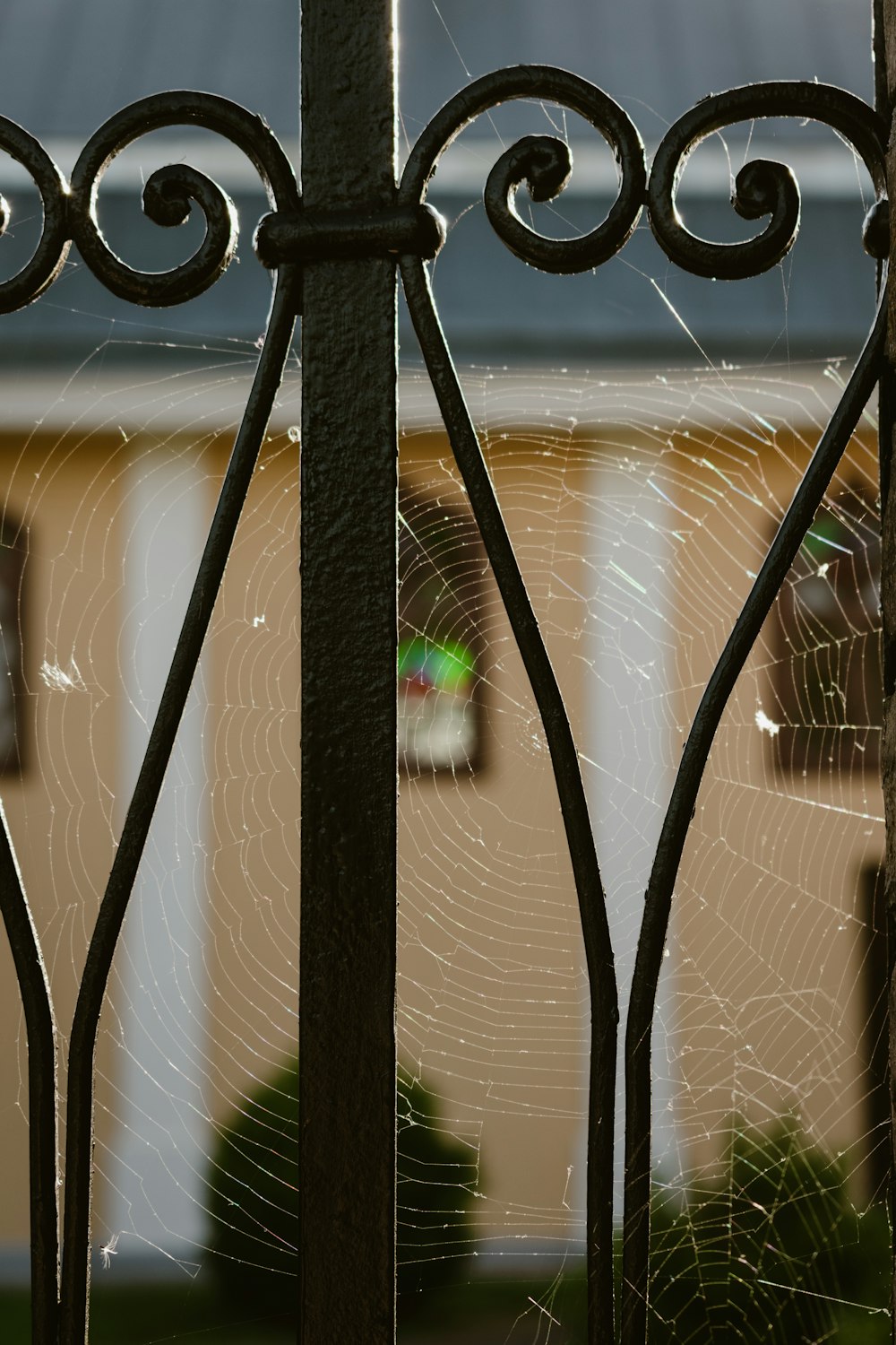 a close up of a metal fence with a building in the background