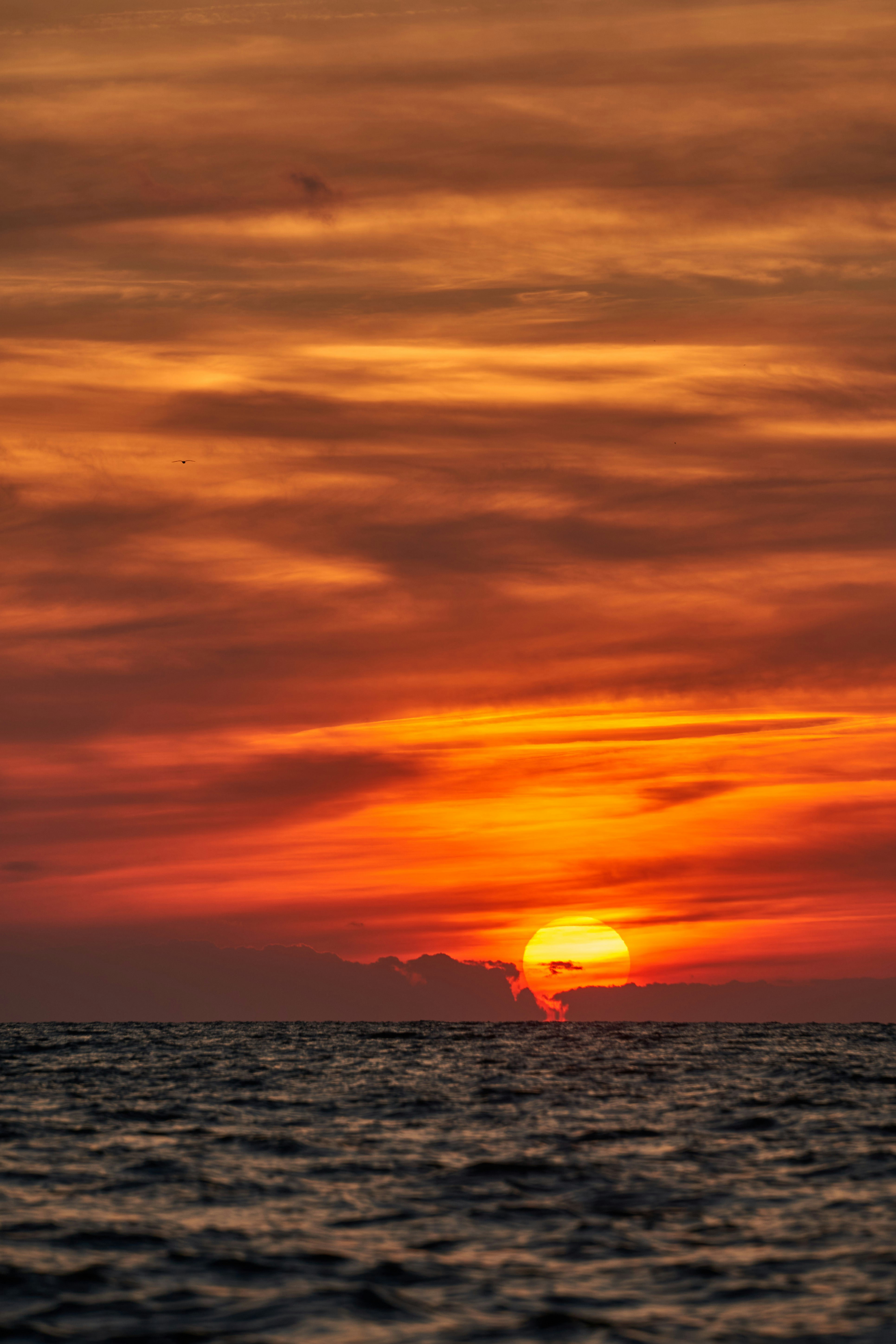 Photo by wolfgang_hasselmann