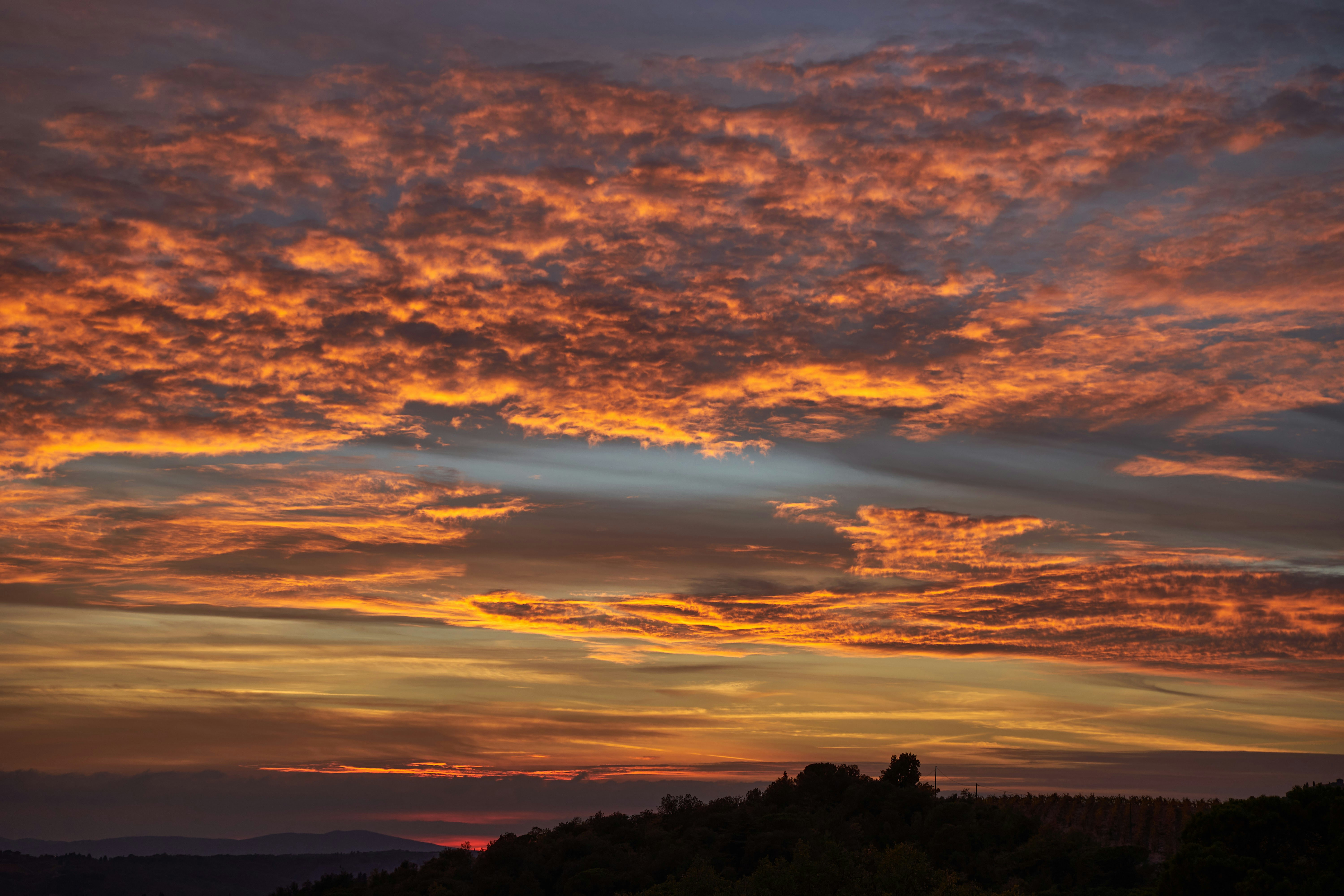 Photo by wolfgang_hasselmann