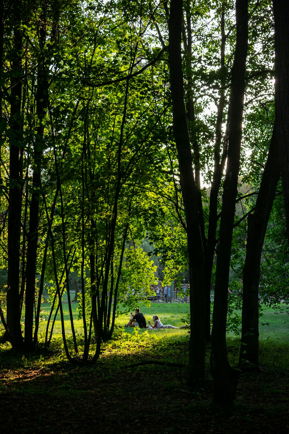 a group of people sitting on a bench in a park