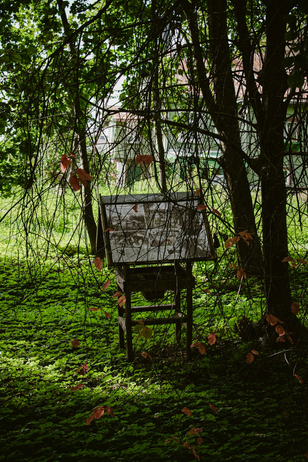 a wooden bench sitting in the middle of a lush green field