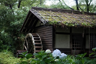 a house with a green roof surrounded by trees