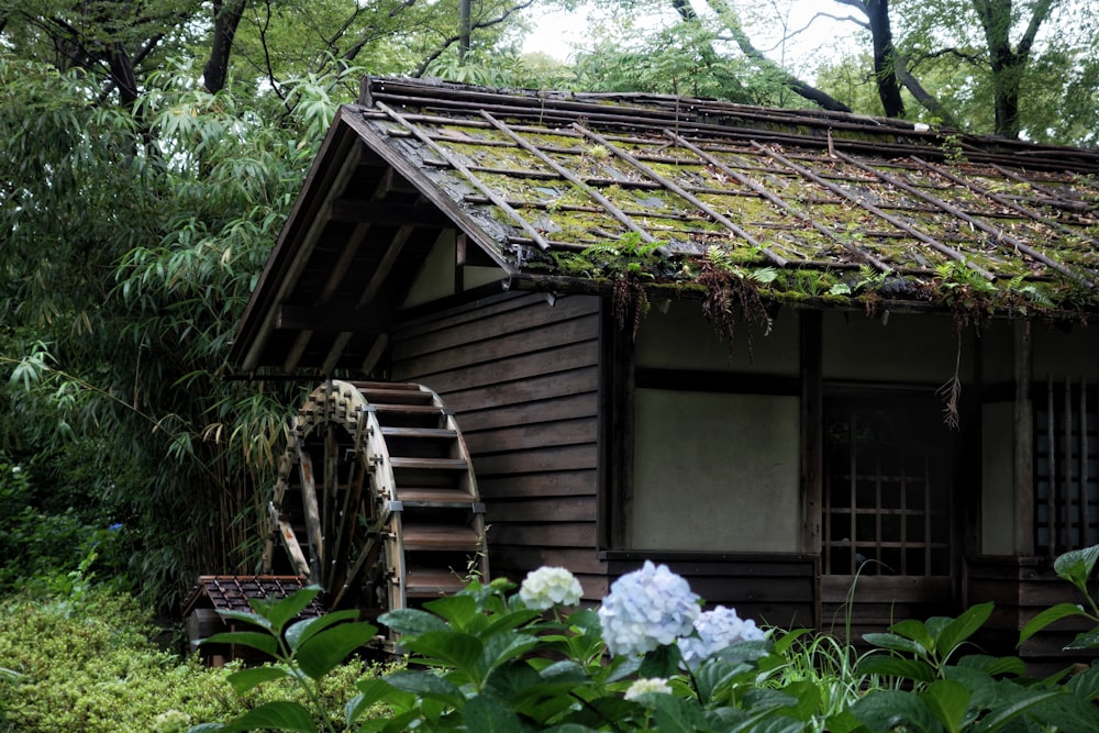 a house with a green roof surrounded by trees