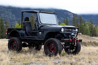 A rugged, black off-road vehicle with large tires and red accents parked on grassy terrain. It is an open-top design, with no doors or roof, and features a winch on the front bumper. In the background, there are trees and a mountain range under a cloudy sky.