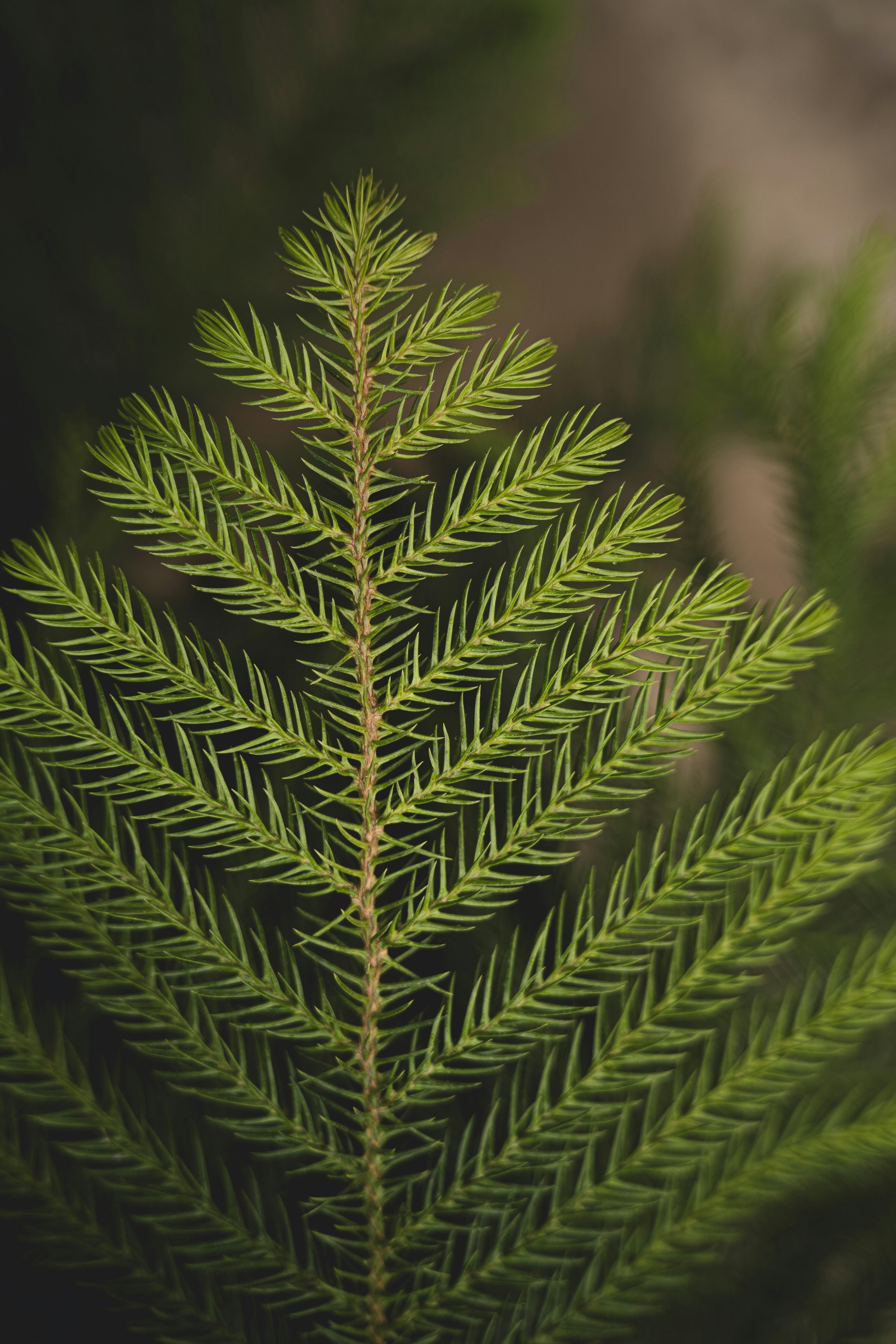 Photo by courtneysmith