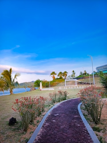 A serene coastal park setting featuring a paved pathway bordered by flowering shrubs. Palm trees and trimmed grass can be seen, with a calm body of water and hill in the background. There are benches and a metal structure on the grass, under a clear, blue sky.