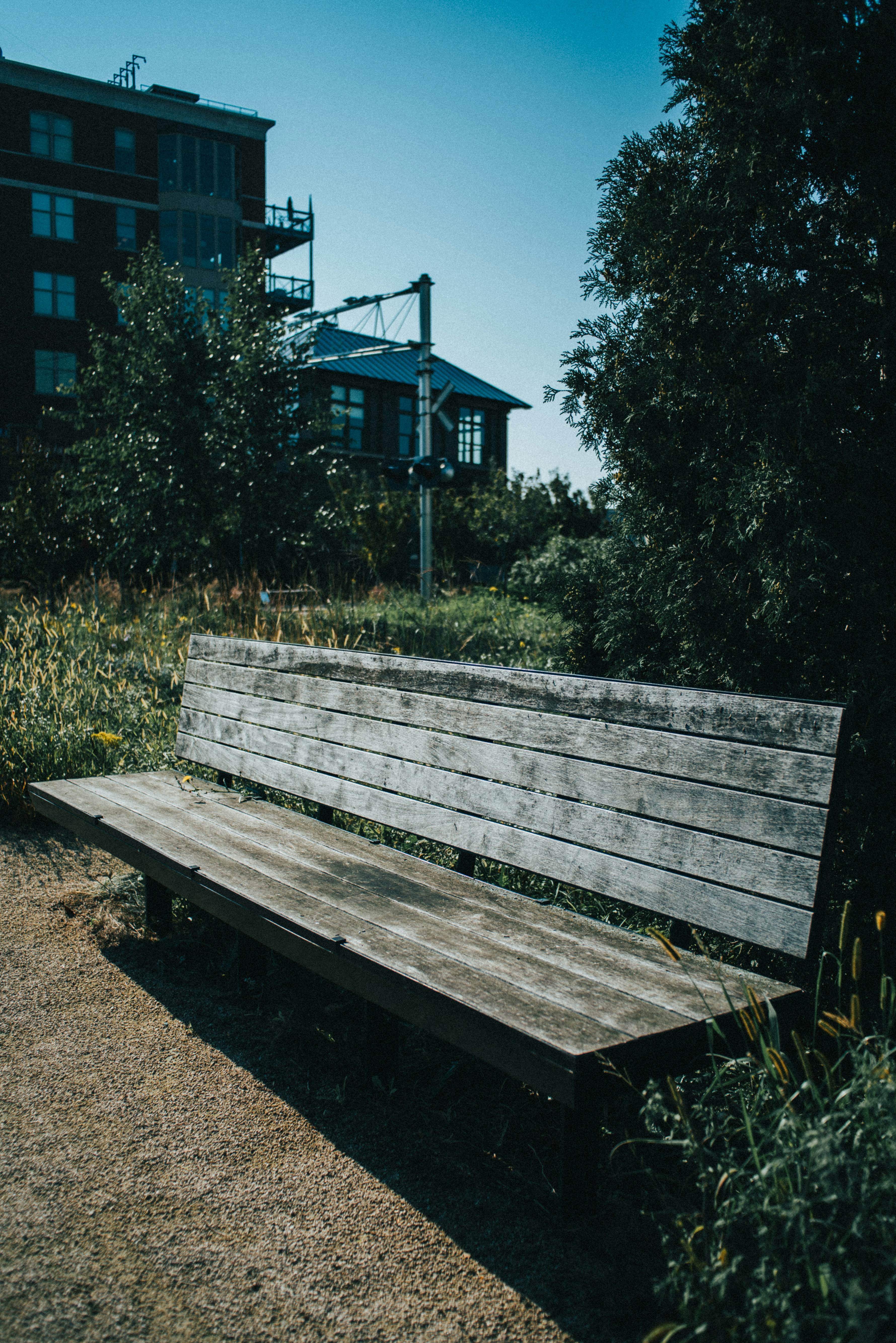a wooden bench sitting in the middle of a park