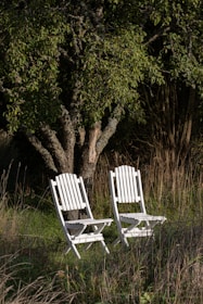 a couple of white chairs sitting next to a tree