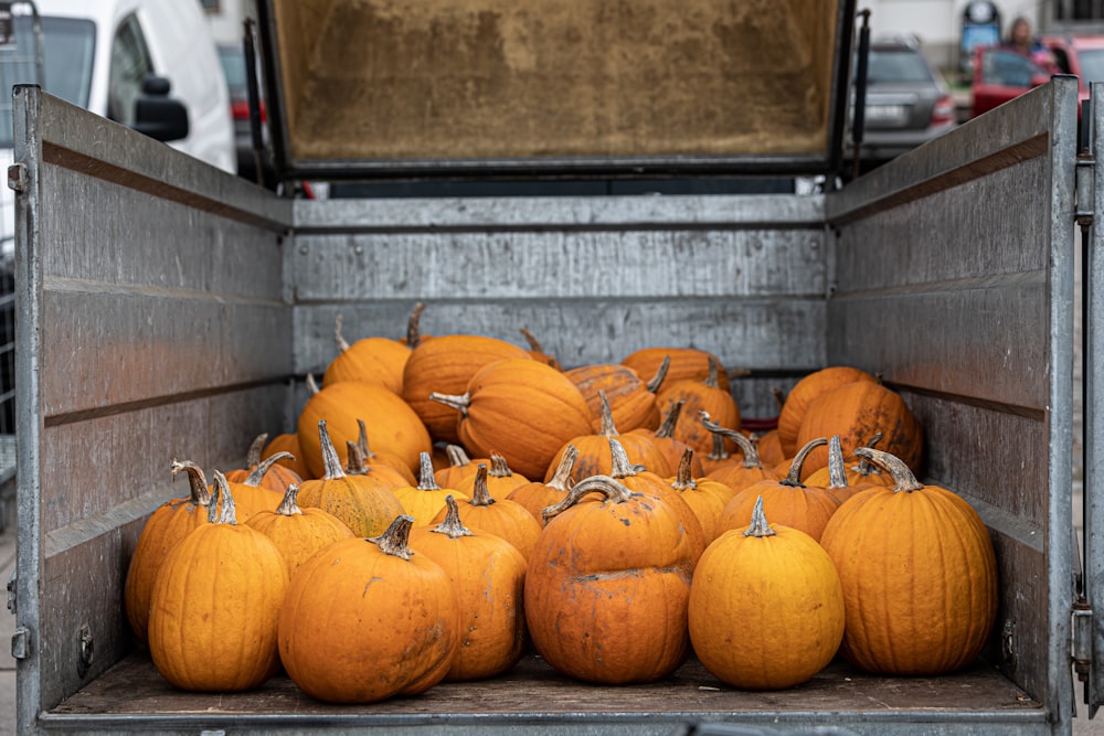 a truck filled with lots of orange pumpkins