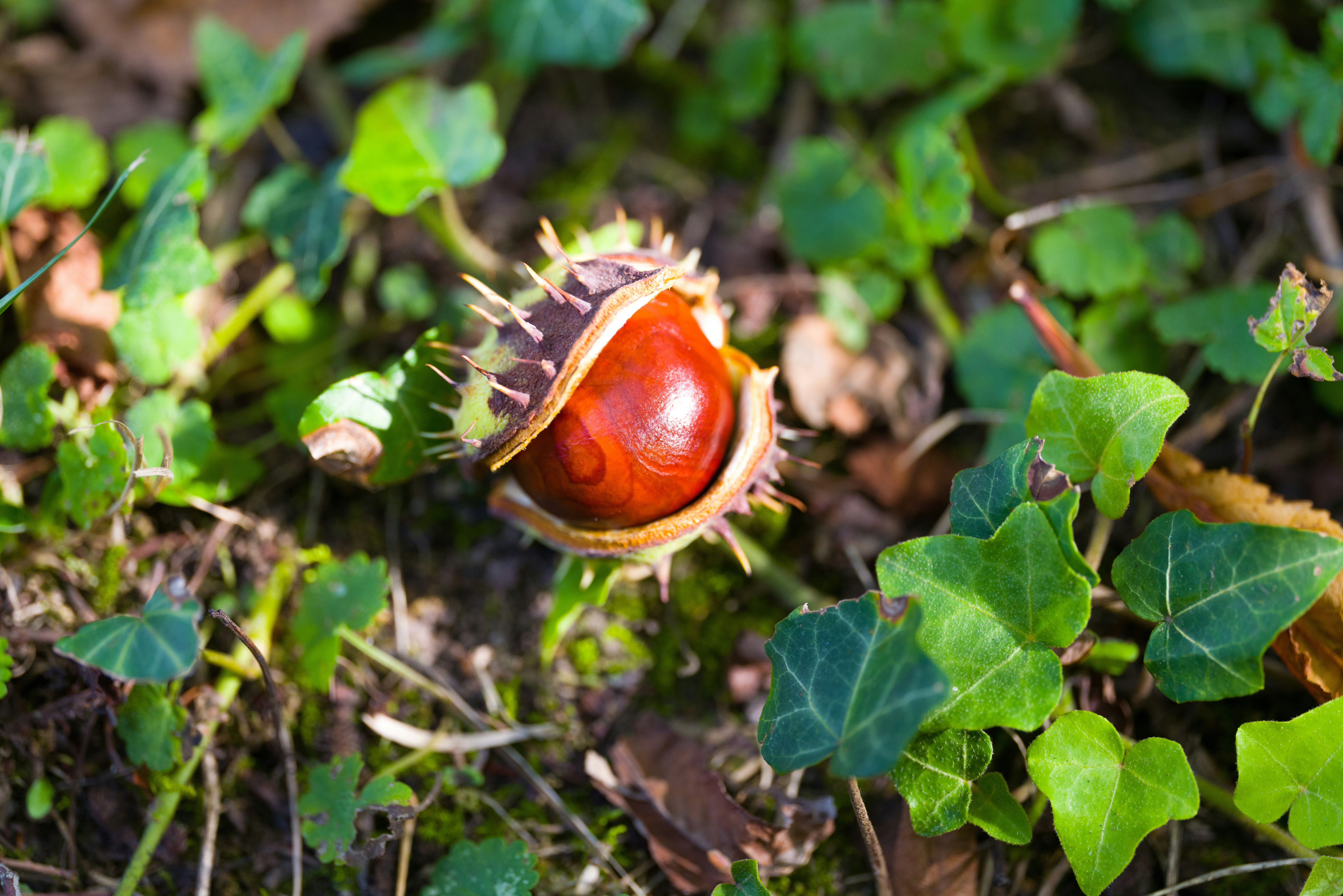 Photo by georgeiermann