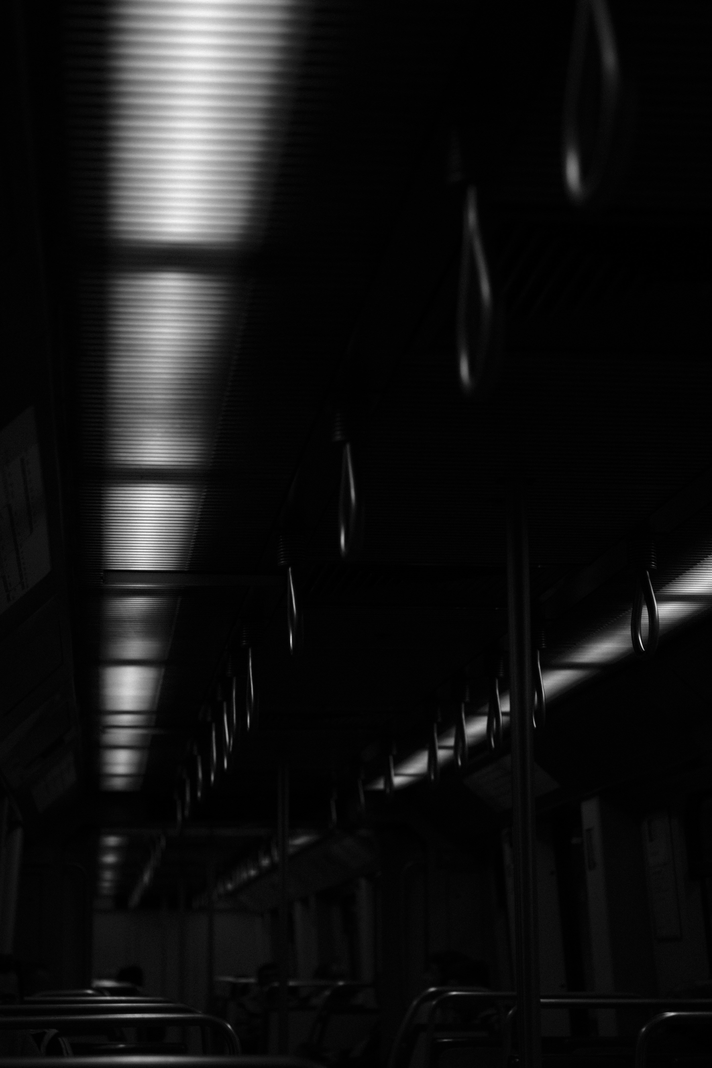 Photo by gabrielreisnf