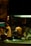 A dimly lit kitchen scene where three chefs are actively preparing food. There is a warm, ambient glow from the overhead lights. One chef is cooking at the stove, while another is working with utensils beside him. The kitchen is equipped with various utensils and ingredients, and there is a visible monitor displaying data or orders.