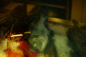 A selection of seafood including a lobster with its claws bound by rubber bands and various fish placed on a bed of ice. The lighting is dim and gives the scene a muted, slightly warm appearance.