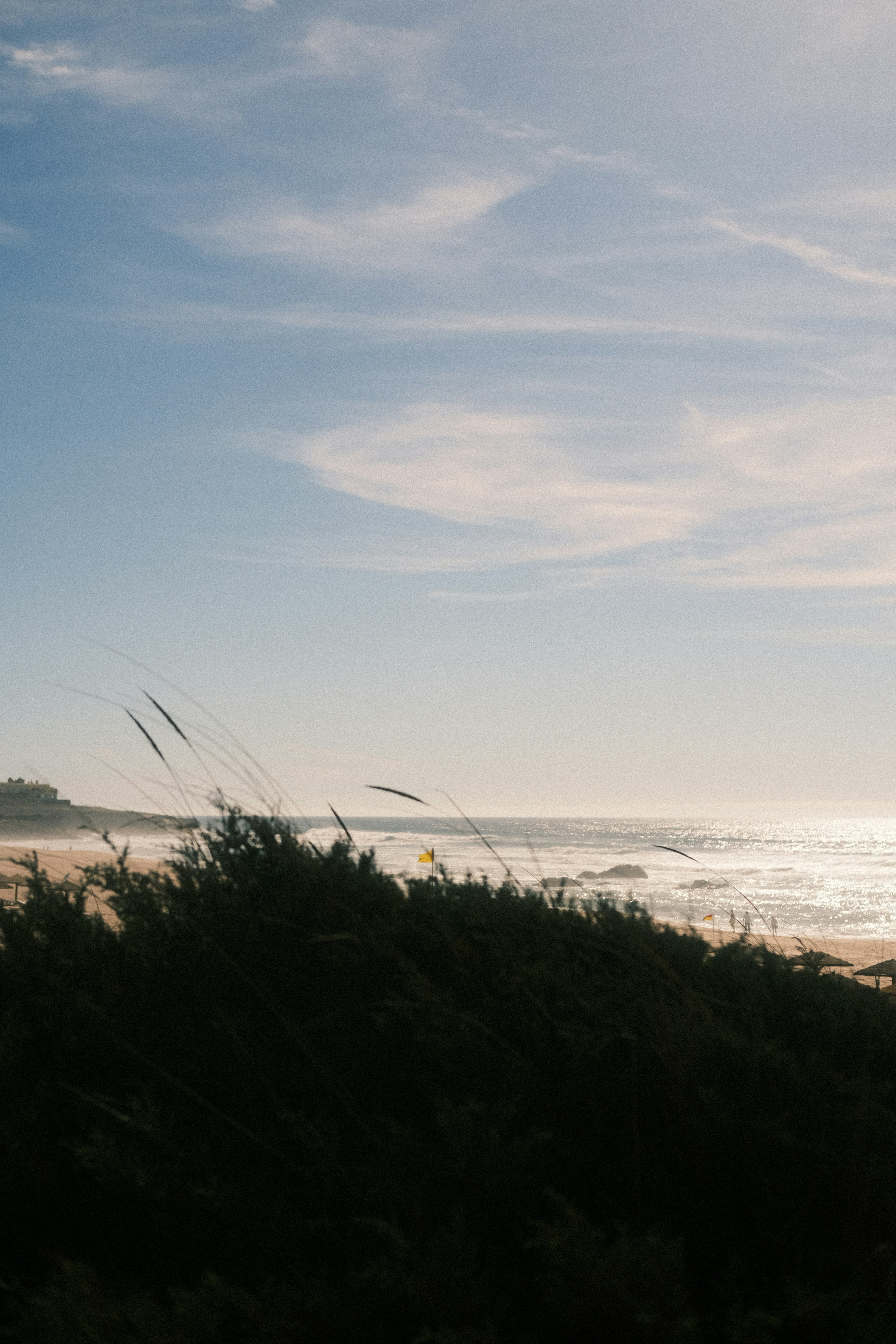 Photo by gabrielreisnf